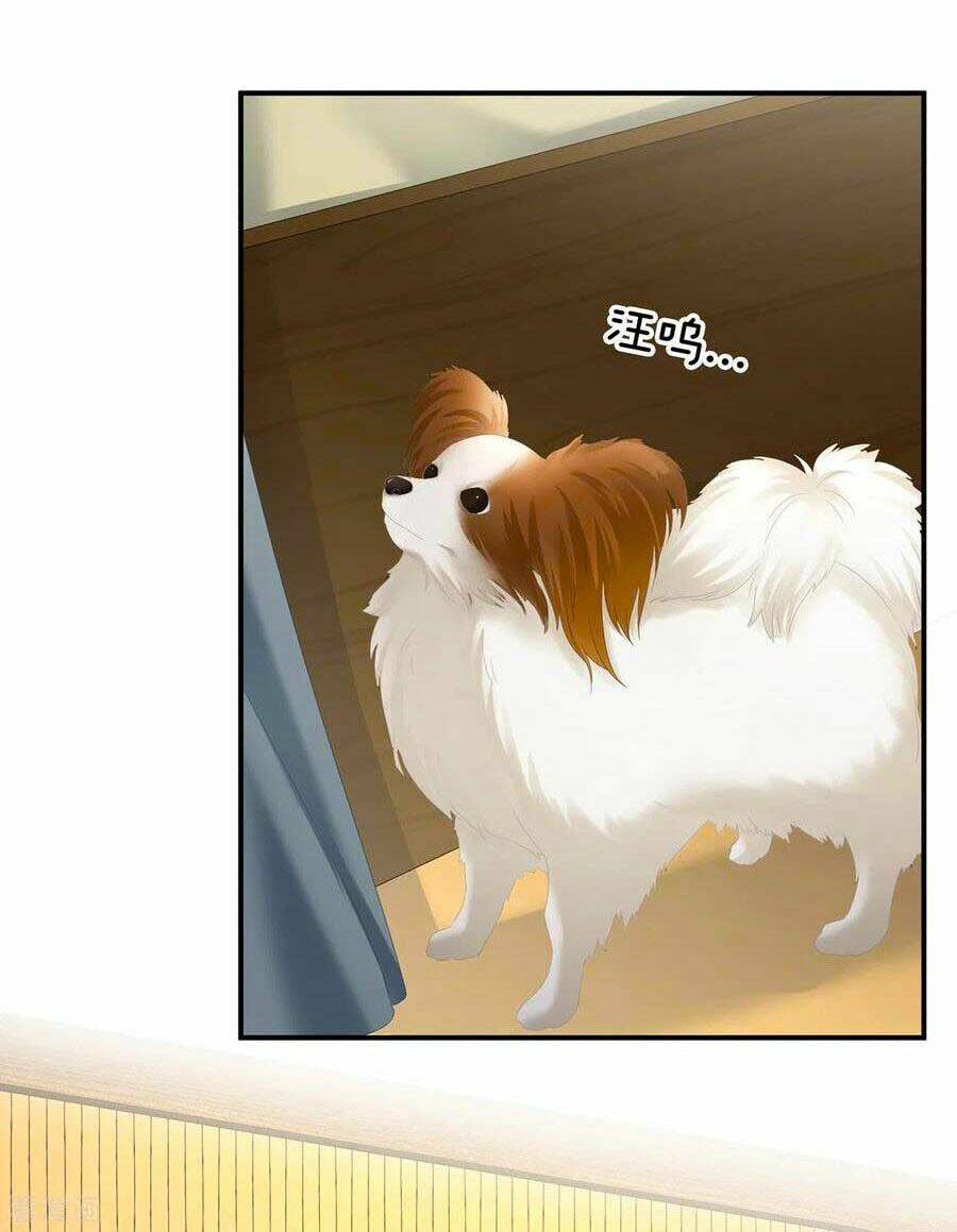 Hậu Cung Của Nữ Đế Chapter 249 - Trang 2