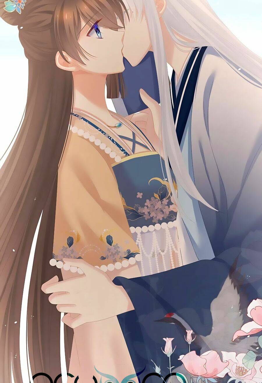 Hậu Cung Của Nữ Đế Chapter 264 - Trang 2