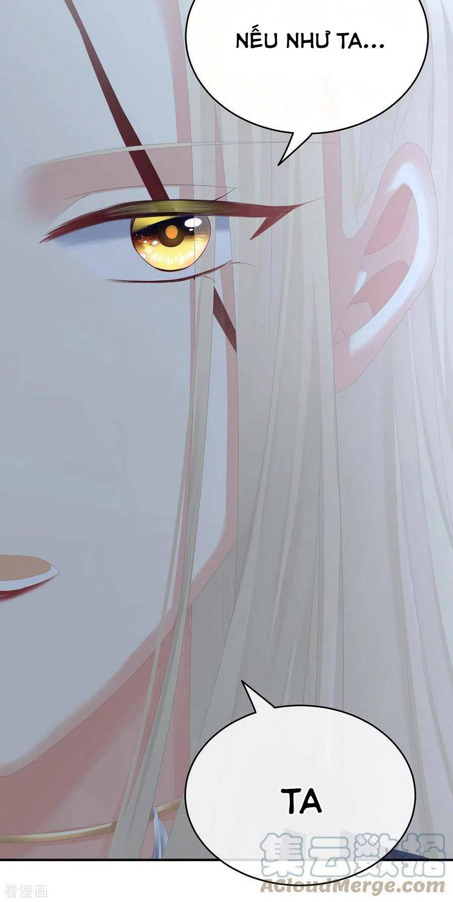 Hậu Cung Của Nữ Đế Chapter 266 - Trang 2