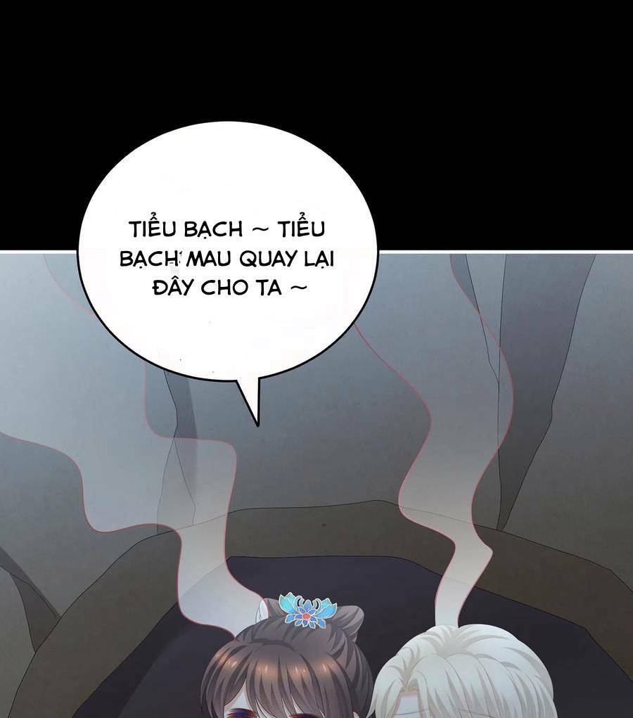 Hậu Cung Của Nữ Đế Chapter 268 - Trang 2