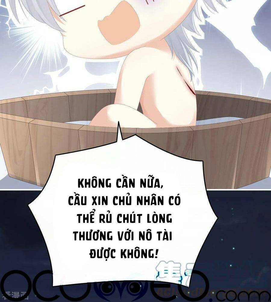 Hậu Cung Của Nữ Đế Chapter 272 - Trang 2