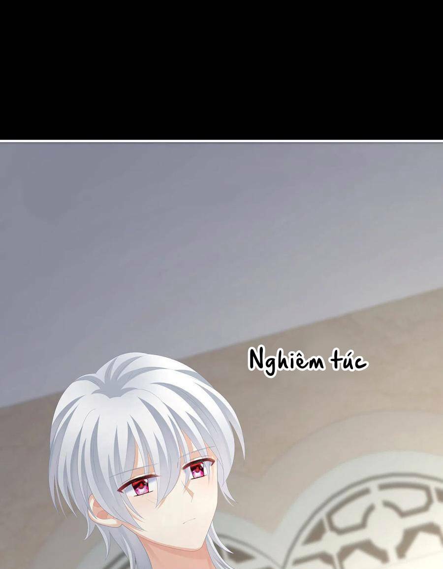 Hậu Cung Của Nữ Đế Chapter 272 - Trang 2