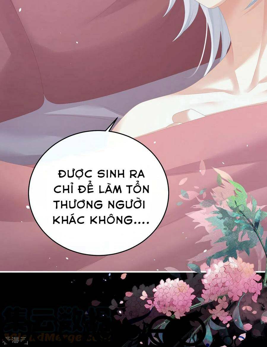 Hậu Cung Của Nữ Đế Chapter 272 - Trang 2