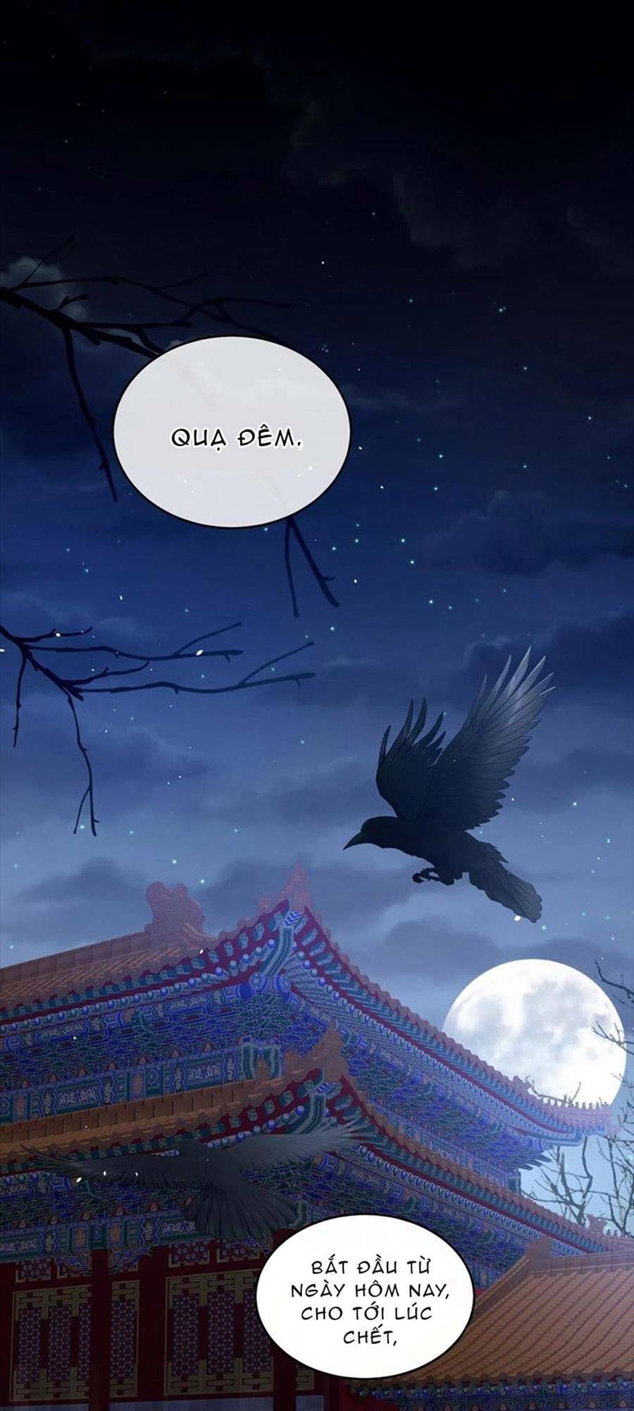 Hậu Cung Của Nữ Đế Chapter 273 - Trang 2