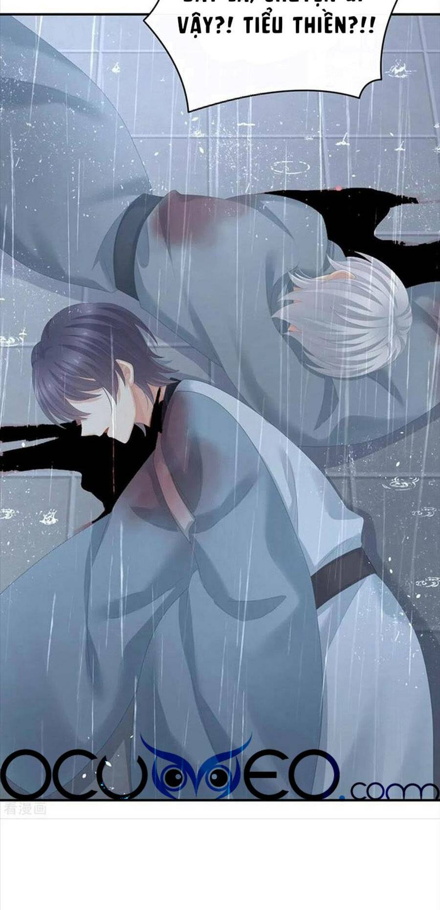 Hậu Cung Của Nữ Đế Chapter 273 - Trang 2