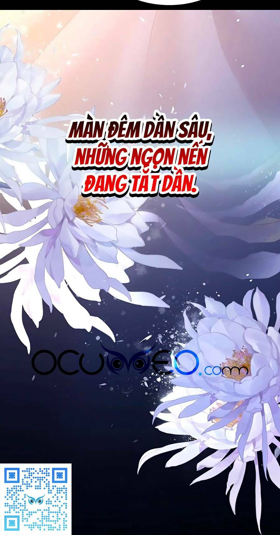 Hậu Cung Của Nữ Đế Chapter 279 - Trang 2