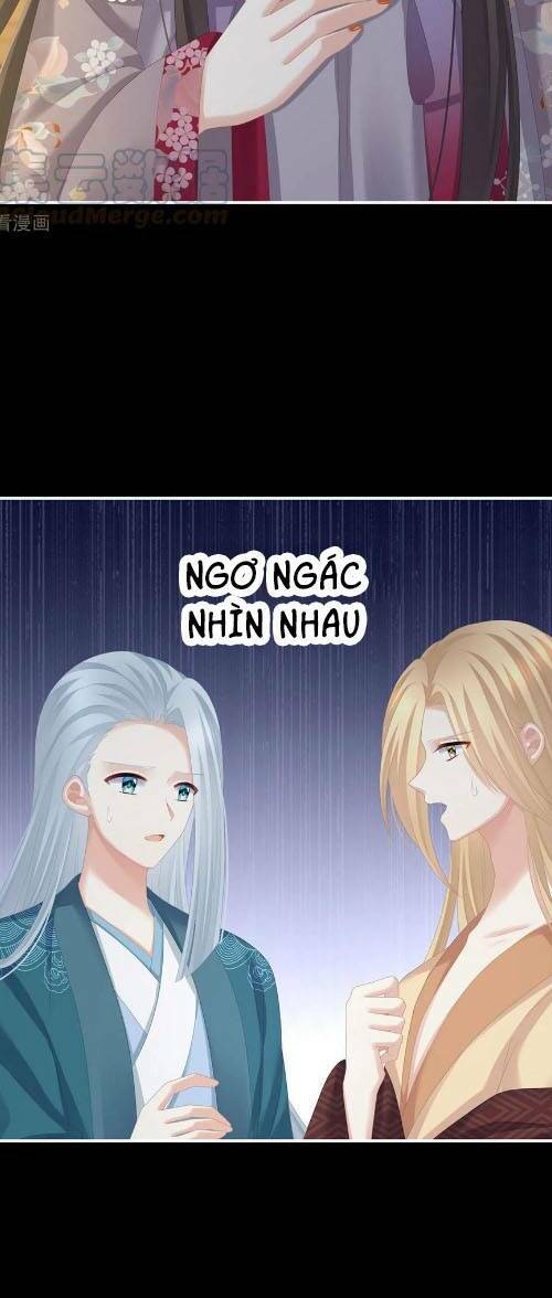 Hậu Cung Của Nữ Đế Chapter 287 - Trang 2