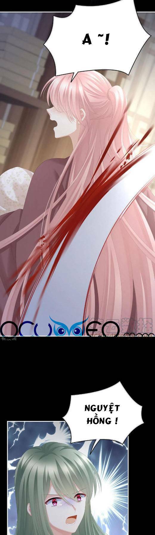 Hậu Cung Của Nữ Đế Chapter 294 - Trang 2