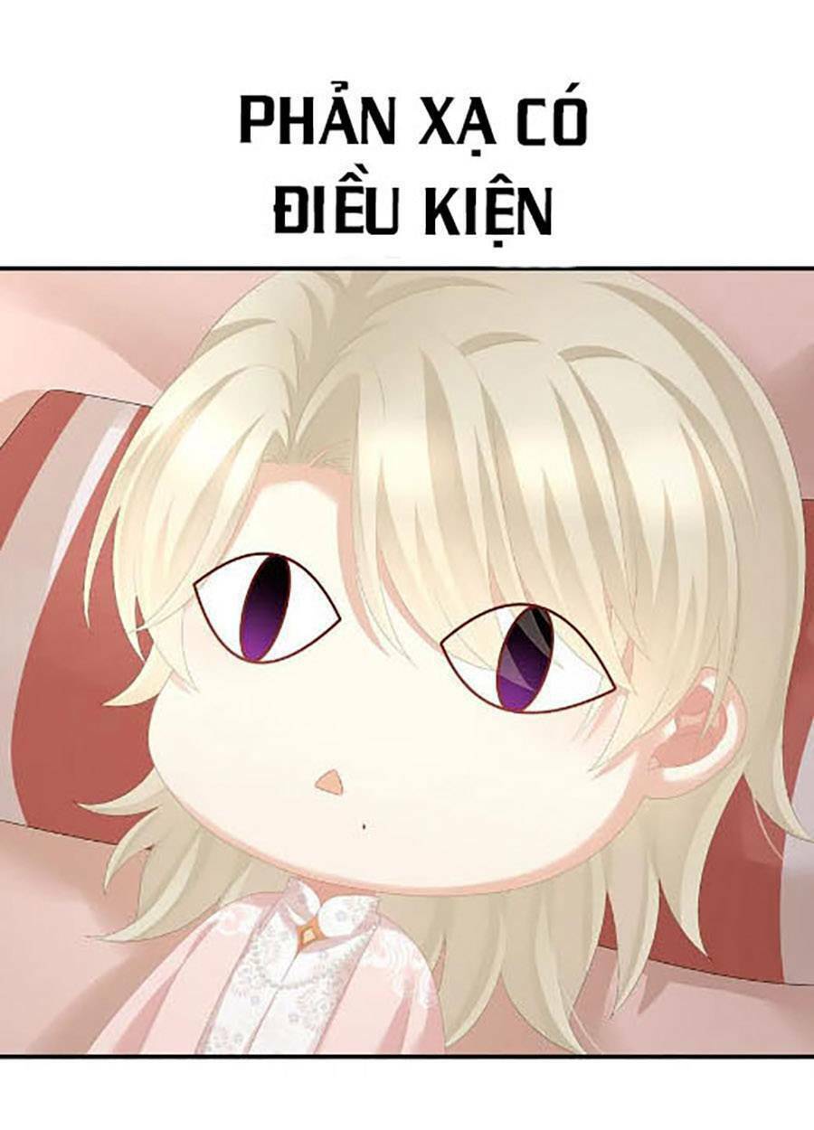 Hậu Cung Của Nữ Đế Chapter 296 - Trang 2