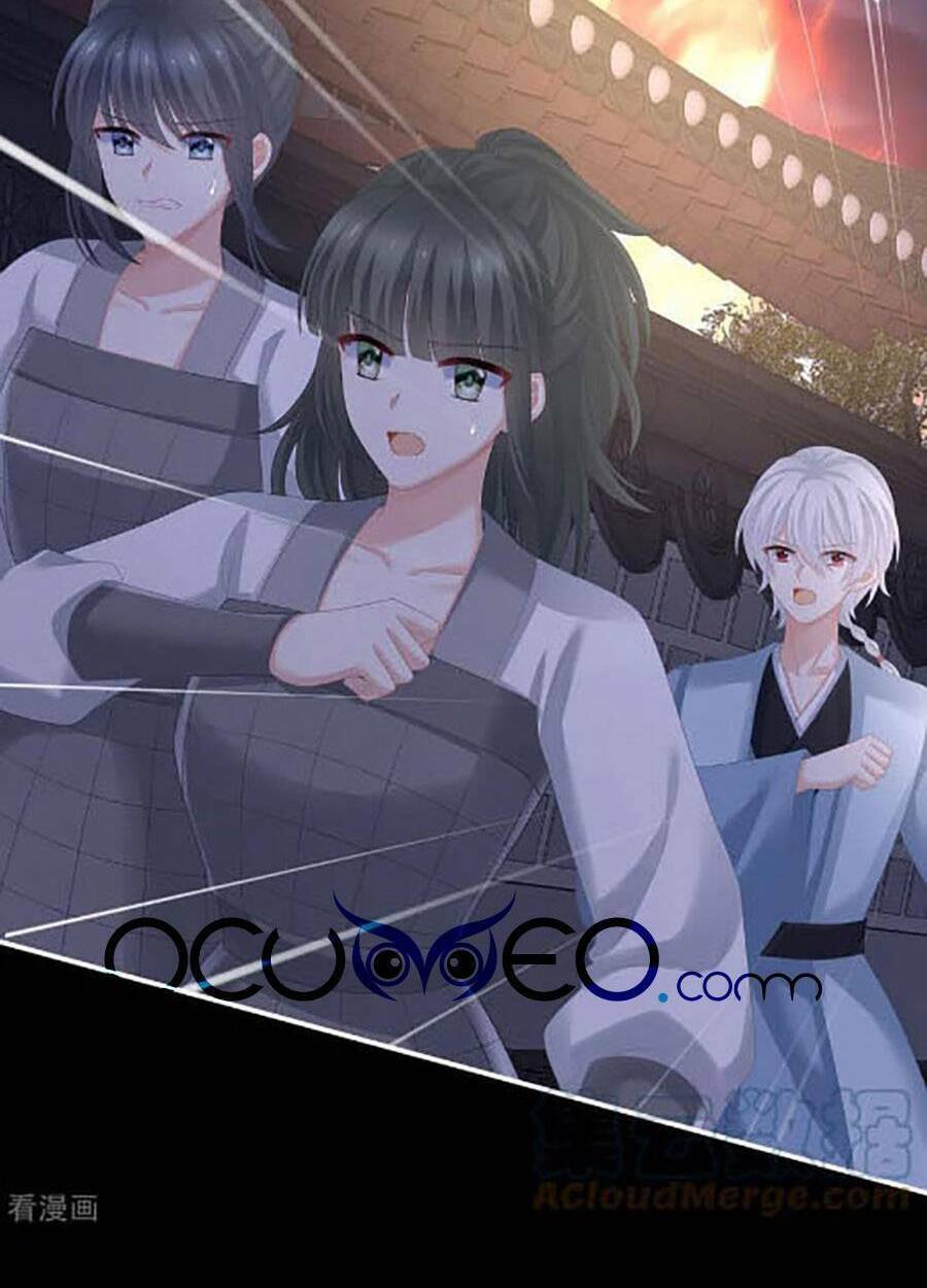 Hậu Cung Của Nữ Đế Chapter 299 - Trang 2