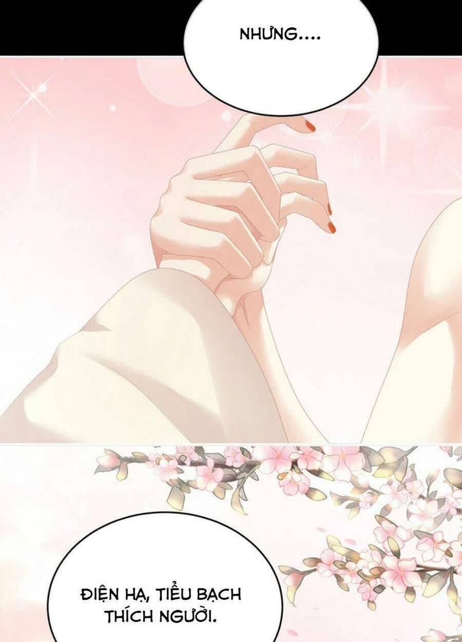 Hậu Cung Của Nữ Đế Chapter 305 - Trang 2