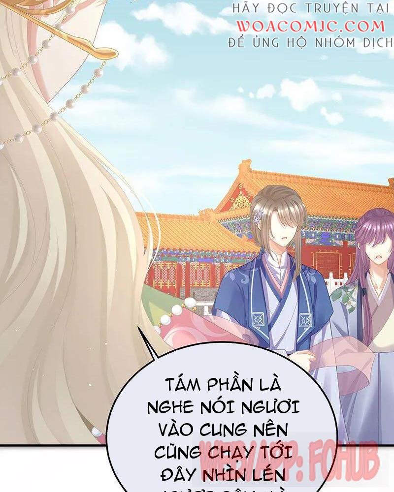 Hậu Cung Của Nữ Đế Chapter 443 - Trang 2