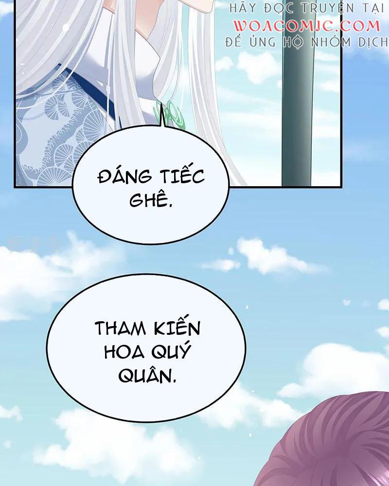 Hậu Cung Của Nữ Đế Chapter 443 - Trang 2