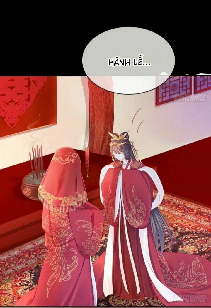 Hậu Cung Của Nữ Đế Chapter 53 - Trang 2