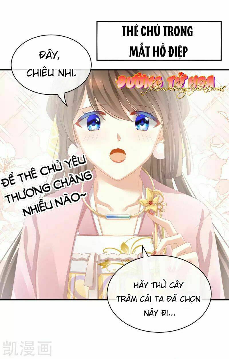 Hậu Cung Của Nữ Đế Chapter 61 - Trang 2