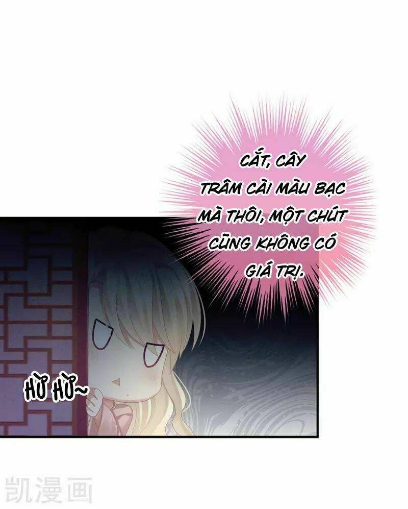 Hậu Cung Của Nữ Đế Chapter 61 - Trang 2