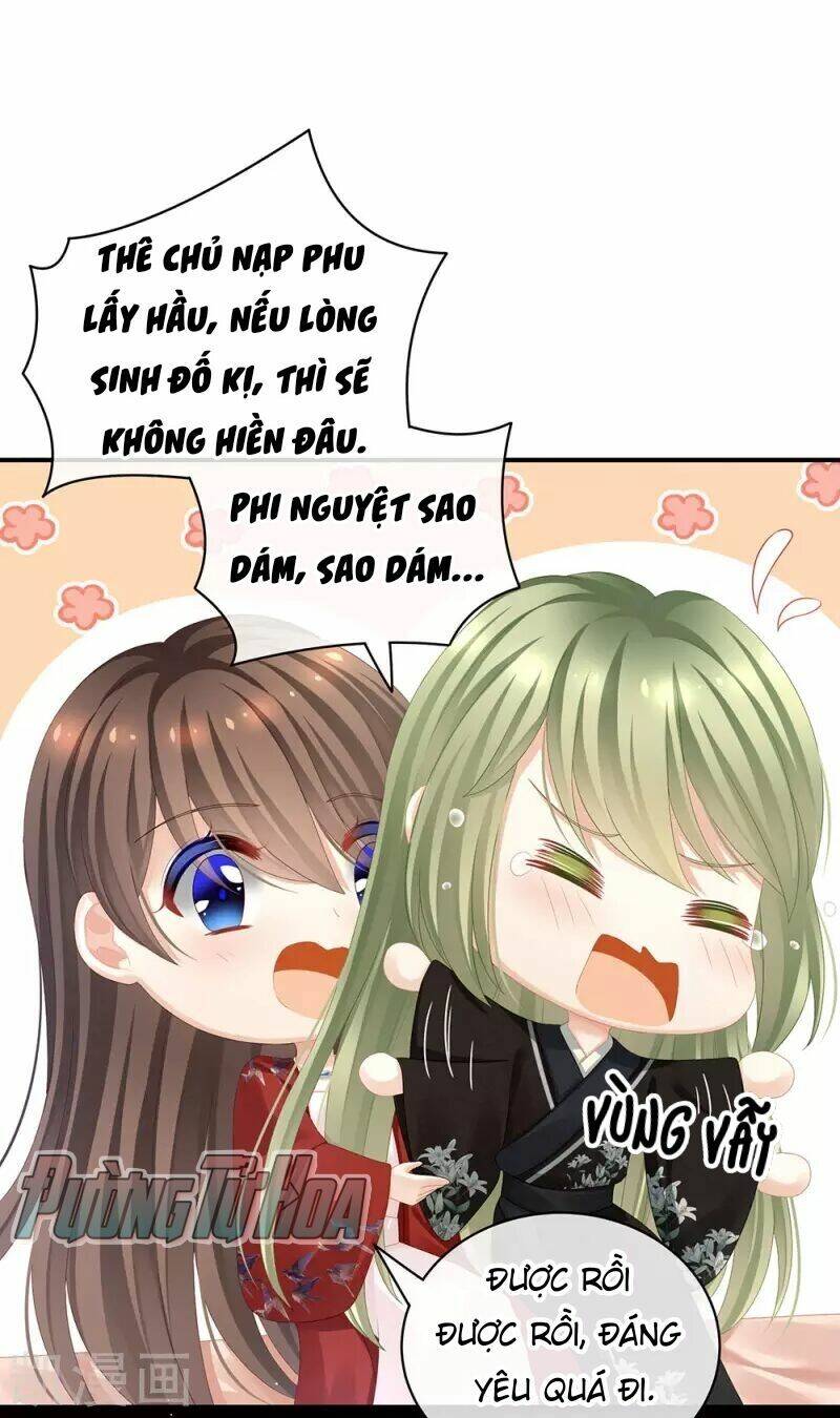 Hậu Cung Của Nữ Đế Chapter 70 - Trang 2