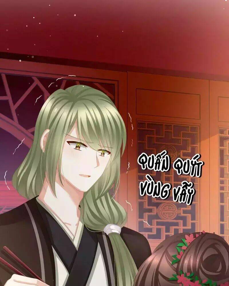 Hậu Cung Của Nữ Đế Chapter 74 - Trang 2