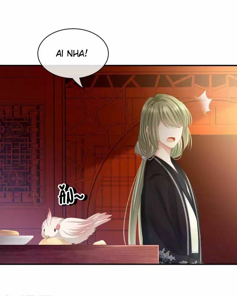 Hậu Cung Của Nữ Đế Chapter 74 - Trang 2