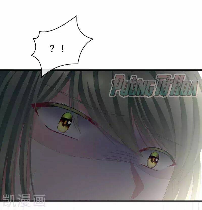 Hậu Cung Của Nữ Đế Chapter 74 - Trang 2