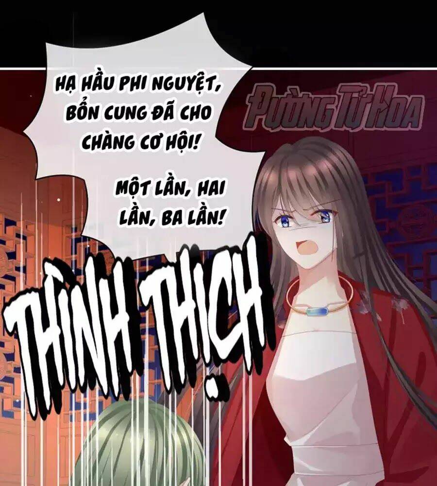 Hậu Cung Của Nữ Đế Chapter 76 - Trang 2