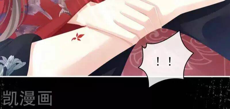 Hậu Cung Của Nữ Đế Chapter 77 - Trang 2