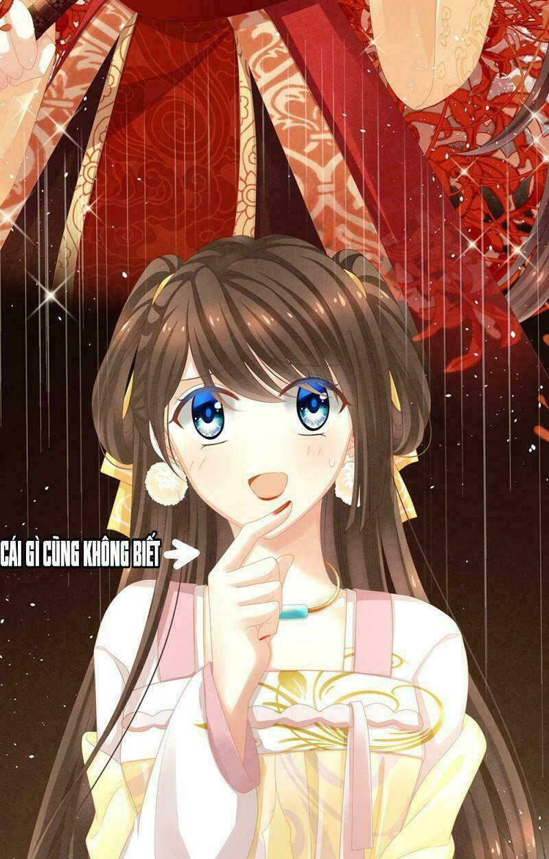 Hậu Cung Của Nữ Đế Chapter 8 - Trang 2