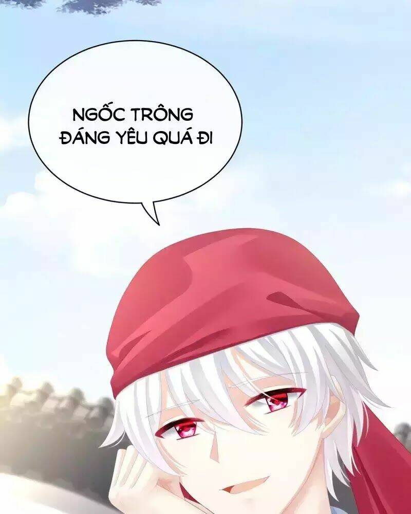 Hậu Cung Của Nữ Đế Chapter 81 - Trang 2