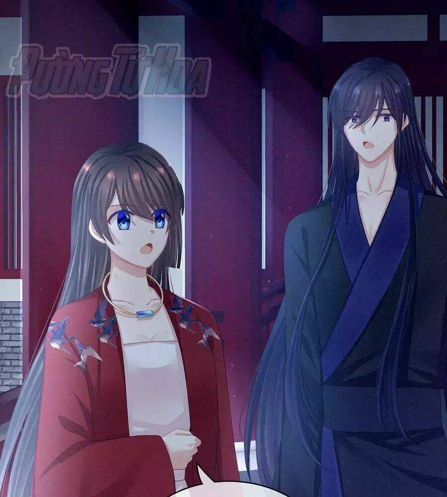 Hậu Cung Của Nữ Đế Chapter 82 - Trang 2