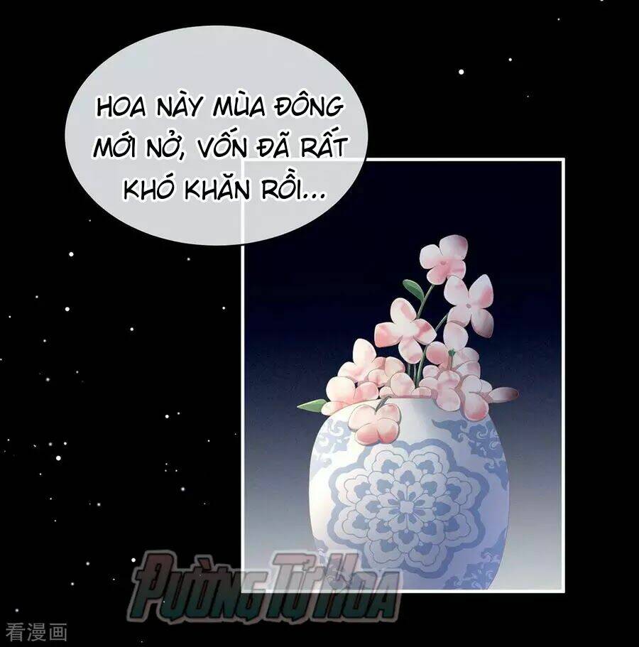 Hậu Cung Của Nữ Đế Chapter 82 - Trang 2