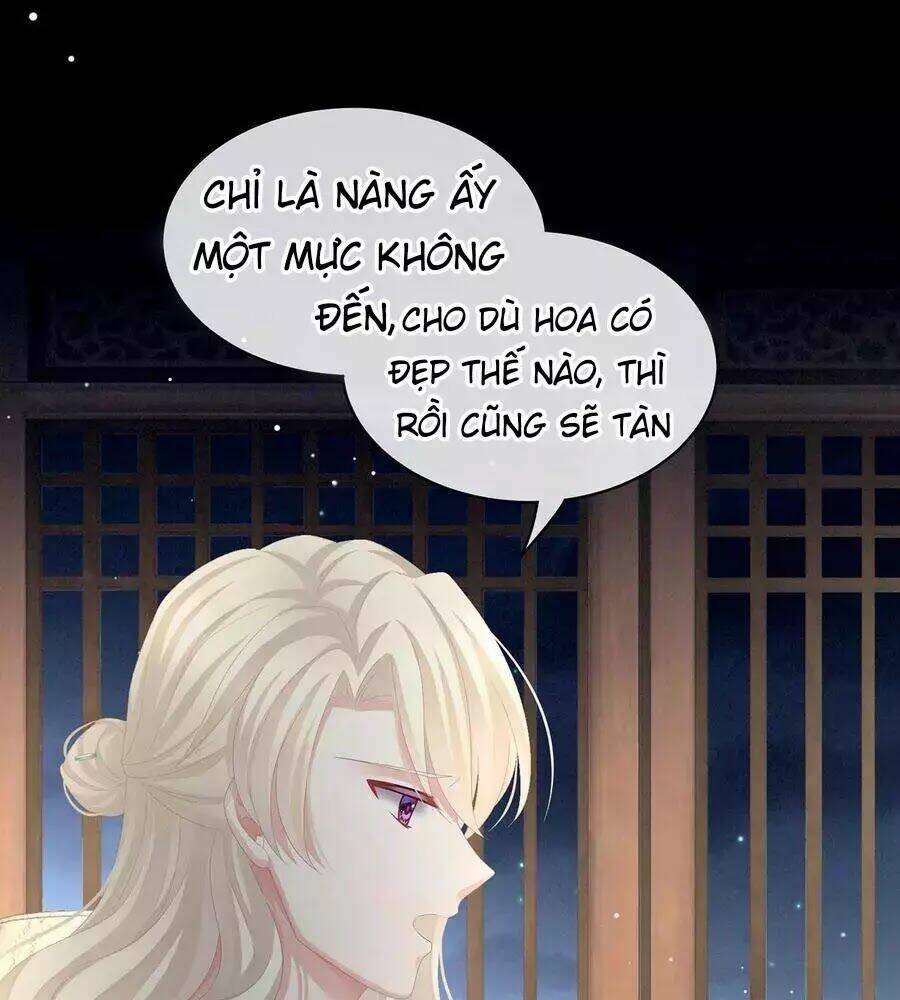 Hậu Cung Của Nữ Đế Chapter 82 - Trang 2