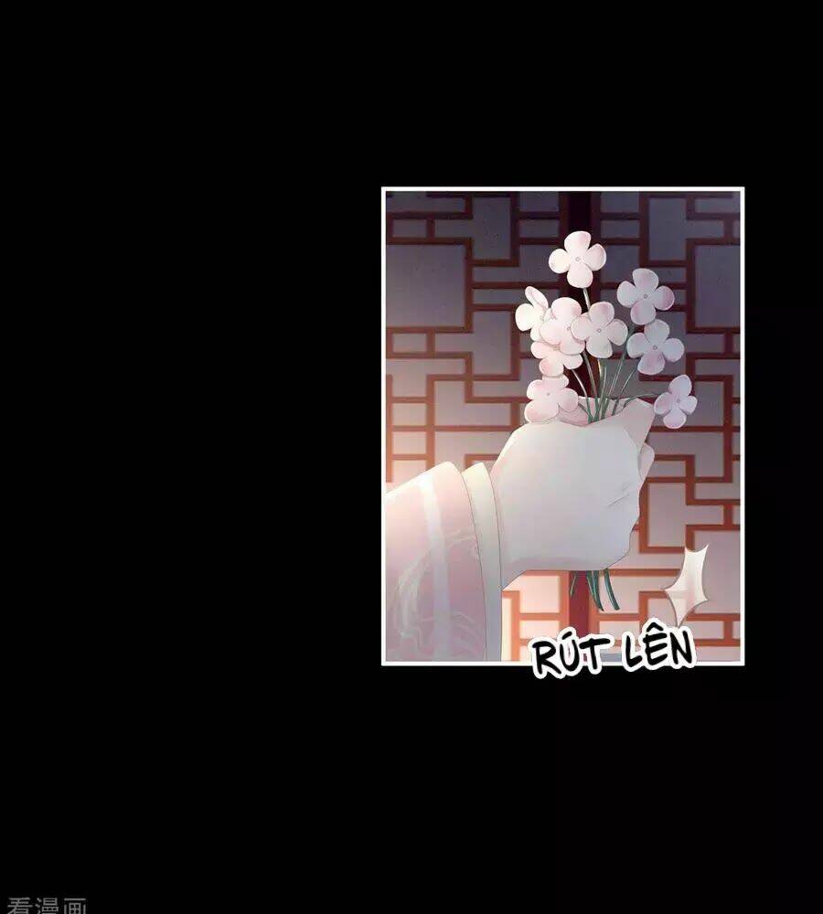 Hậu Cung Của Nữ Đế Chapter 82 - Trang 2
