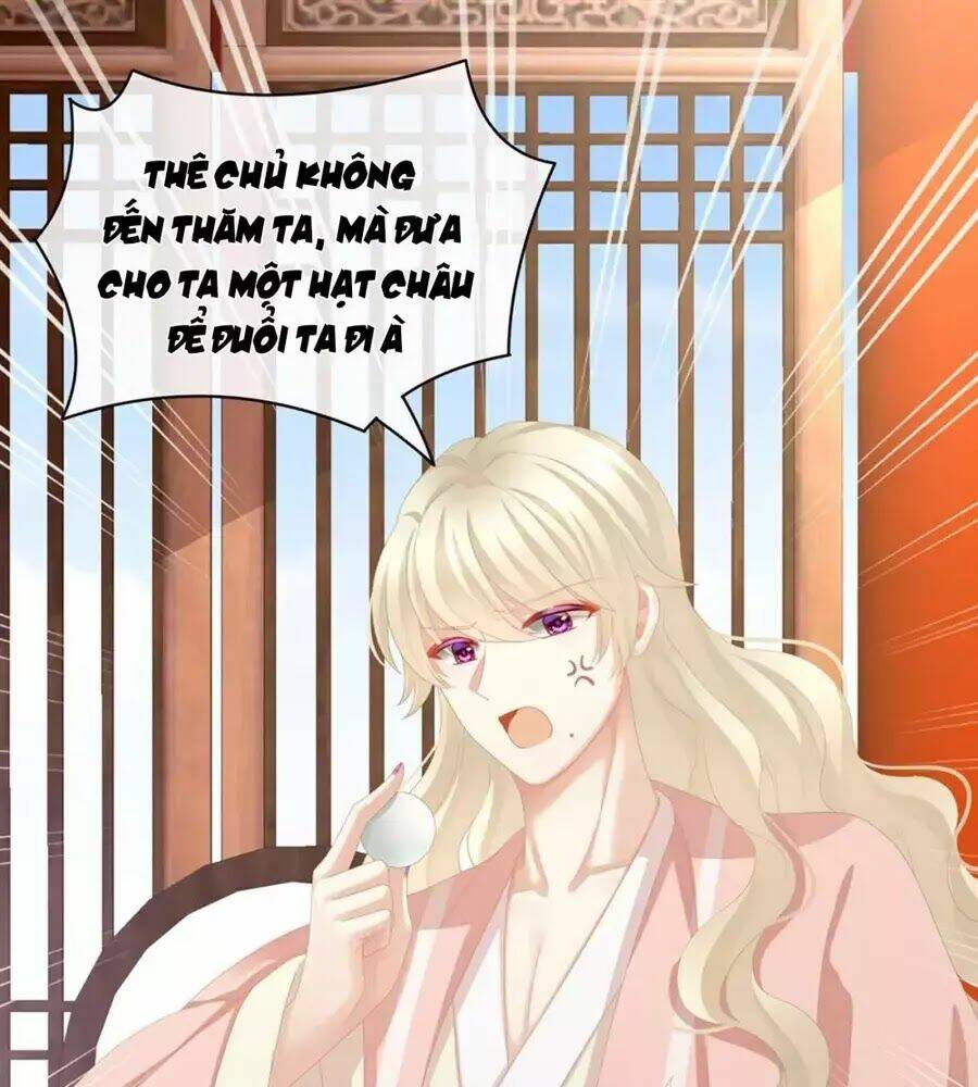 Hậu Cung Của Nữ Đế Chapter 87 - Trang 2