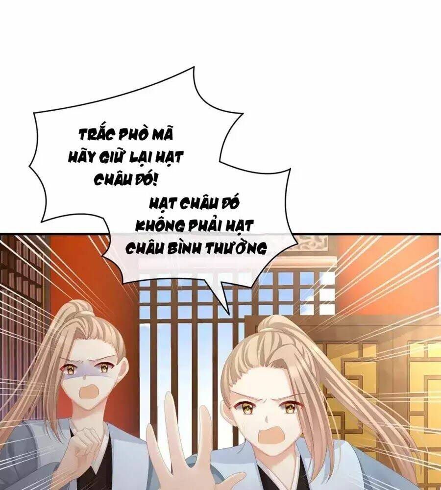 Hậu Cung Của Nữ Đế Chapter 87 - Trang 2