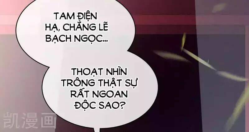 Hậu Cung Của Nữ Đế Chapter 88 - Trang 2