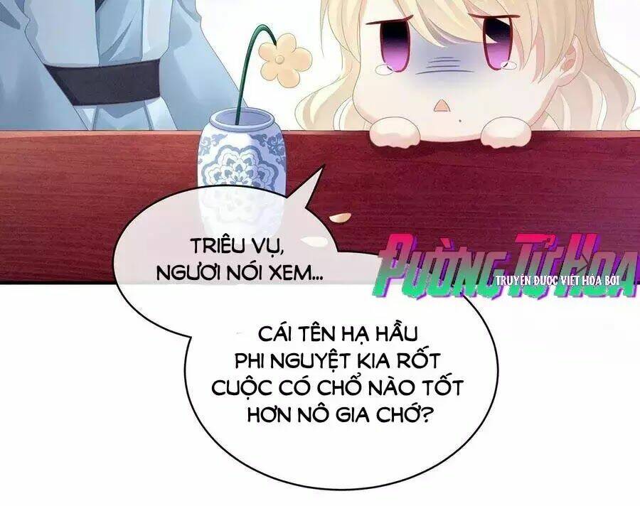 Hậu Cung Của Nữ Đế Chapter 98 - Trang 2