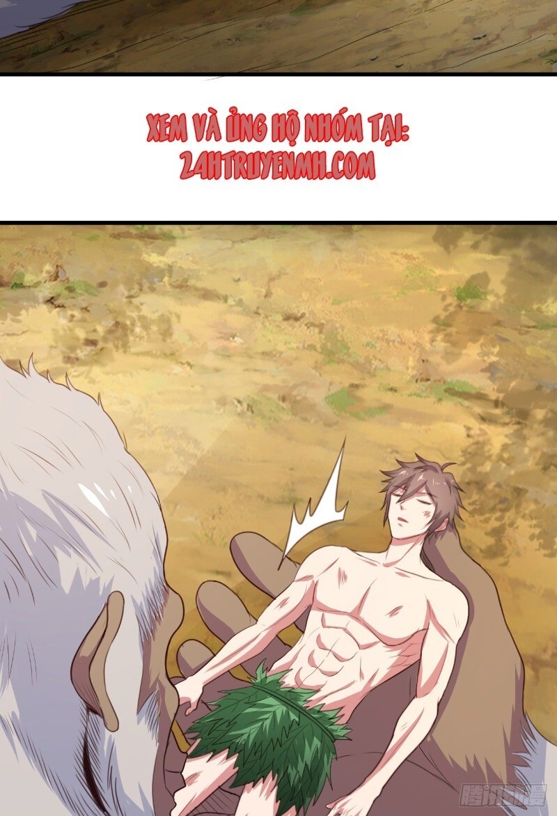 Hậu Cung Của Ta Dựa Vào Rút Thẻ Chapter 33 - Trang 2