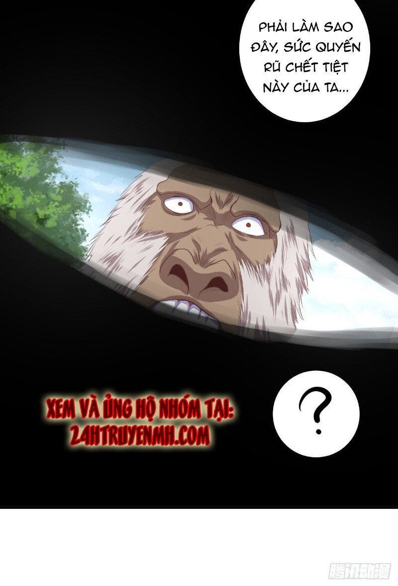 Hậu Cung Của Ta Dựa Vào Rút Thẻ Chapter 35 - Trang 2