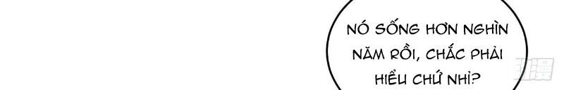 Hậu Cung Của Ta Dựa Vào Rút Thẻ Chapter 48 - Trang 2