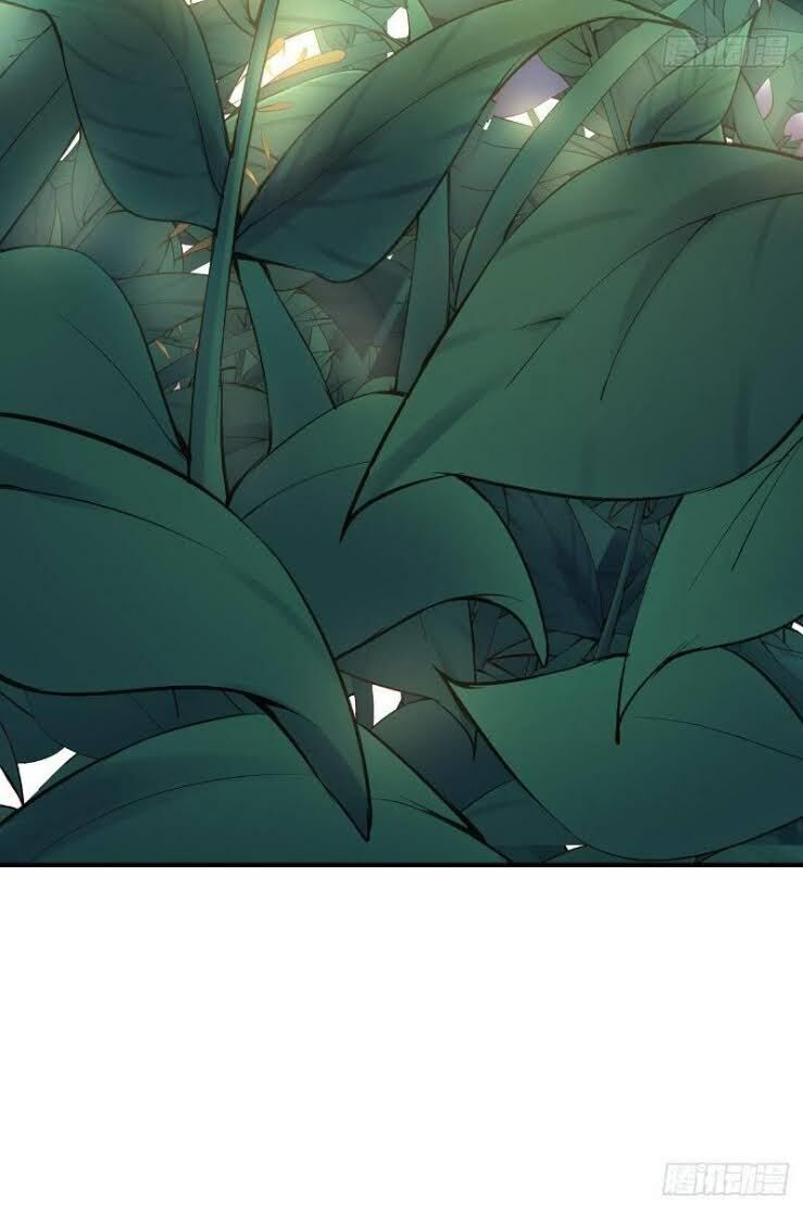 Hậu Cung Của Ta Dựa Vào Rút Thẻ Chapter 8 - Trang 2