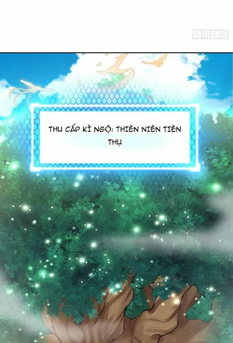 Hậu Cung Của Ta Dựa Vào Rút Thẻ Chapter 8 - Trang 2