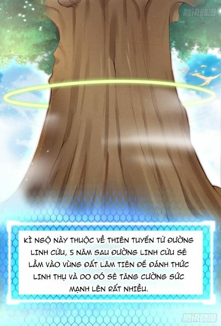 Hậu Cung Của Ta Dựa Vào Rút Thẻ Chapter 8 - Trang 2