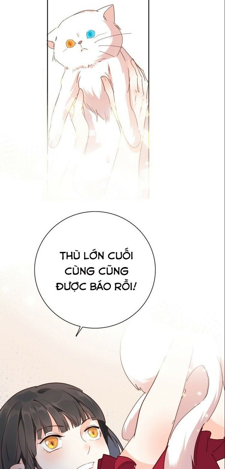 Hầu Nữ Giá Đáo Chapter 19 - Trang 2