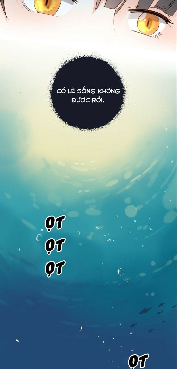 Hầu Nữ Giá Đáo Chapter 21 - Trang 2