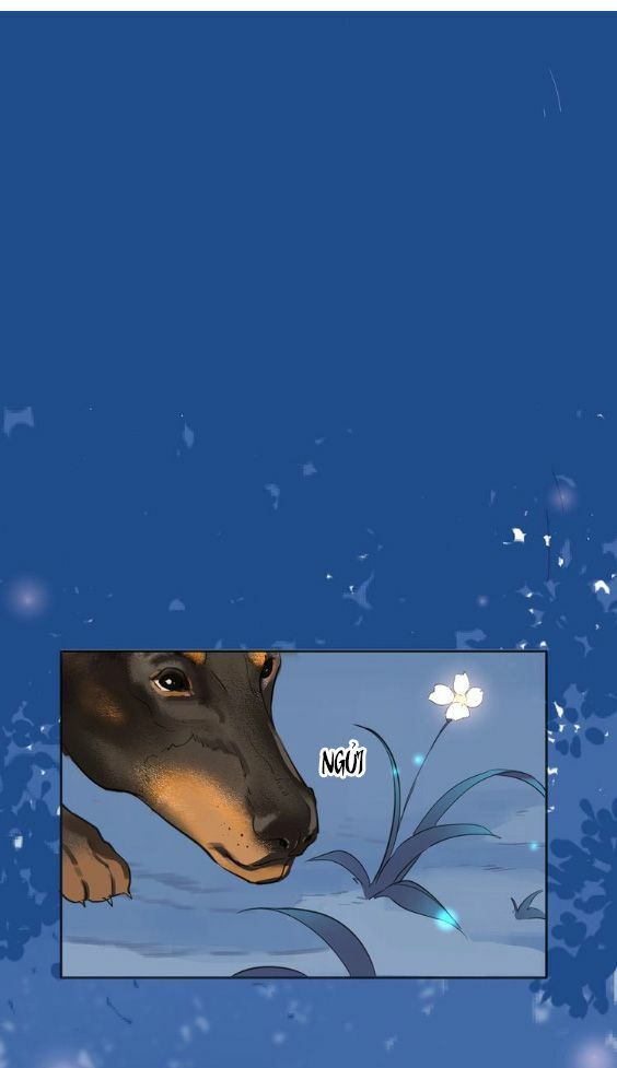 Hầu Nữ Giá Đáo Chapter 3 - Trang 2