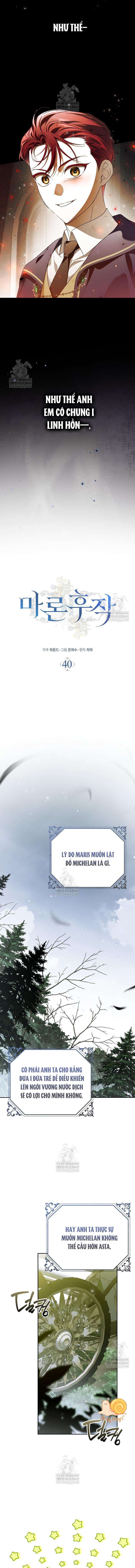 Hầu Tước Marron Chapter 40 - Trang 2