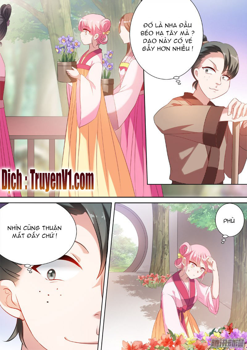 Hệ Thống Chế Tạo Nữ Thần Chapter 13 - Trang 2