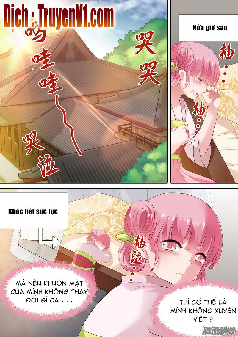 Hệ Thống Chế Tạo Nữ Thần Chapter 4 - Trang 2