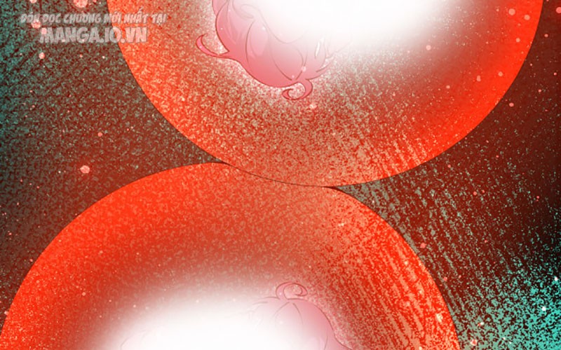 Hệ Thống Chiến Đấu Vô Địch Chapter 11 - Trang 2