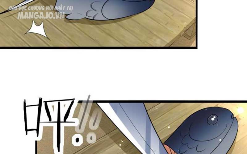 Hệ Thống Chiến Đấu Vô Địch Chapter 12 - Trang 2